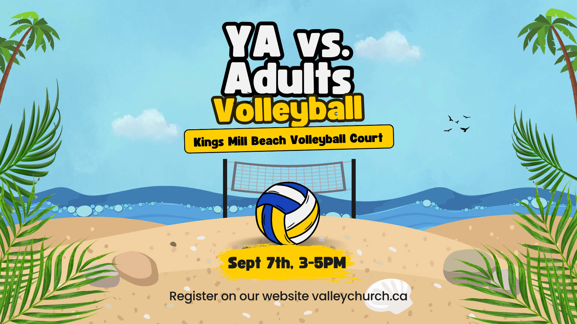 YA vs. Adult Volleyball